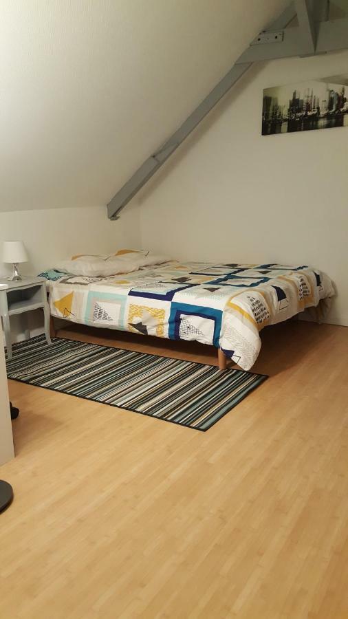 Joli Duplex Gare - Centre Ville رينز المظهر الخارجي الصورة